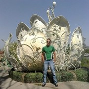  ,   , 35 ,   