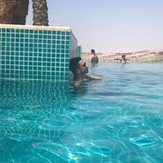 ���������� �����, ���� ������� �����, 31 ���, ������������ ��� ������, ����� � ���������, c�������� ���������