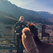 ���������� �����-���������, �����