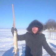 ���������� ���������, ���� ������� ��������, 38 ���, ������������ ��� ����� � ���������, c�������� ���������