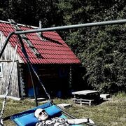 ���������� ������������, ���� ������� �����, 38 ���, ������������ ��� ������, ����� � ���������, c�������� ���������, ���������