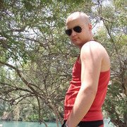  Elat,   , 35 ,     , c 