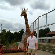  ,   , 36 ,  