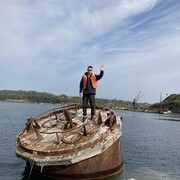 ���������� ���������, ���� ������� �����, 37 ���, ������������ ��� ������, ����� � ���������