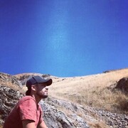 ���������� �������, ���� ������� Said, 31 ���, ������������ ��� ������, ����� � ���������