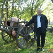 ���������� �������, ���� ������� Goga, 55 ���, ������������ ��� ������