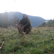 ���������� �������, ���� ������� Dato, 43 ����, ������������ ��� ������, ����� � ���������, c�������� ���������