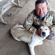 ���������� ������, ���� ������� ���������, 48 ���, ������������ ��� ����� � ���������, c�������� ���������