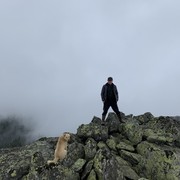  -,   , 37 ,  