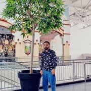 ���������� �����������, ���� ����� ����, 25 ���, ������������ ��� ������, ����� � ���������, c�������� ���������, ���������