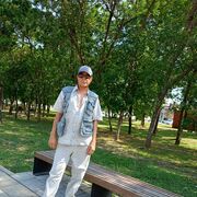  --,   , 48 ,   , 