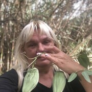  Oshkosh,   , 60 ,   c 