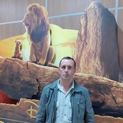 ���������� ����-�����������, ���� ������� �������, 60 ���, ������������ ��� ������, ����� � ���������, c�������� ���������