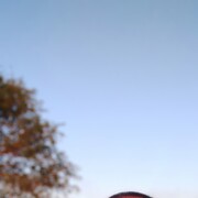 ���������� ������, ���� ������� ���������, 43 ����, ������������ ��� ������, ����� � ���������, c�������� ���������