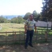  ,   , 43 ,   