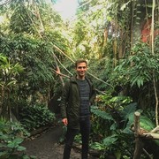 ���������� �����, ���� ������� �����, 38 ���, ������������ ��� ������, ����� � ���������, c�������� ���������