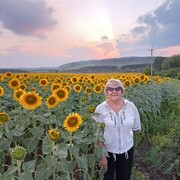 ���������� ������, ���� ������� �����, 59 ���, ������������ ��� ������, ����� � ���������, c�������� ���������, ���������