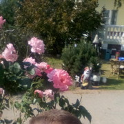 ���������� ����������, ���� ������� Oleg, 47 ���, ������������ ��� ������, ����� � ���������, c�������� ���������