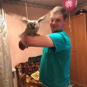  -,   , 34 ,   ,   , c 