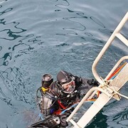 ���������� �����������, ���� ������� �����, 43 ����, ������������ ��� ������, ����� � ���������, c�������� ���������, ���������