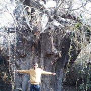  ,   Rasad, 46 ,   ,   
