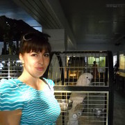  ,   , 40 ,   ,   , c 