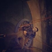 ���������� �������, ���� ����� Bexa, 25 ���, ������������ ��� ������, ����� � ���������