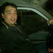  ,   Wolf, 41 ,   