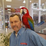  ,   , 56 ,   ,   