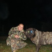 ���������� �����������, ���� ������� �������, 44 ����, ������������ ��� ������, ����� � ���������, c�������� ���������, ���������