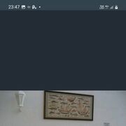  ,   Nik, 37 ,   ,   , c 