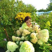  ,   , 50 ,   ,   