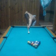 ���������� ��������������, ���� ������� ����, 30 ���, ������������ ��� ����� � ���������, c�������� ���������