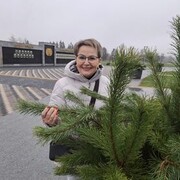 ���������� �����-���������, ���� ������� �������, 69 ���, ������������ ��� c�������� ���������, ���������