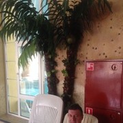 ���������� ������, ���� ������� ������, 61 ���, ������������ ��� ������