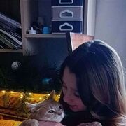 ���������� ��������, ���������