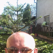 ���������� �����, ���� ������� ������, 44 ����, ������������ ��� ������, ����� � ���������, c�������� ���������