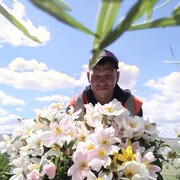 ���������� �������, ������� ����, 41