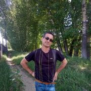  ,   , 51 ,   ,   