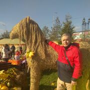  ,   , 61 ,   c 