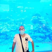  ,   , 41 ,   ,   