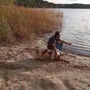  ,   , 44 ,   ,   