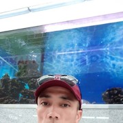  ,   , 43 ,   ,   , c , 