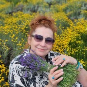 ���������� ������-��-����, ���� ������� �����, 60 ���, ������������ ��� c�������� ���������