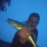 ���������� ����������, ���� ������� ROMAN, 35 ���, ������������ ��� ������, ����� � ���������, c�������� ���������