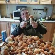 ���������� ���������, ���� ������� �������, 40 ���, ������������ ��� ������, ����� � ���������, c�������� ���������