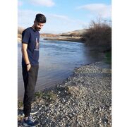 Homberg,   Reza, 27 ,   ,   , c 