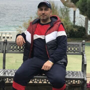 ,   , 41 ,   ,   , 