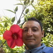 ���������� ������, ������� �����, 46