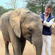 ���������� ������������, ���� ������� ������, 41 ���, ������������ ��� ������, ����� � ���������, c�������� ���������, ���������